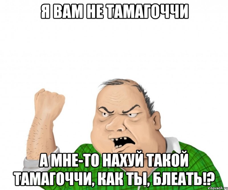 я вам не тамагоччи а мне-то нахуй такой тамагоччи, как ты, блеать!?, Мем мужик