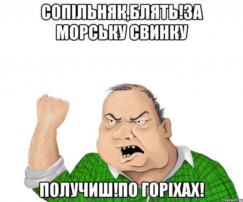 Сопільняк,блять!За морську свинку получиш!По горіхах!, Мем мужик