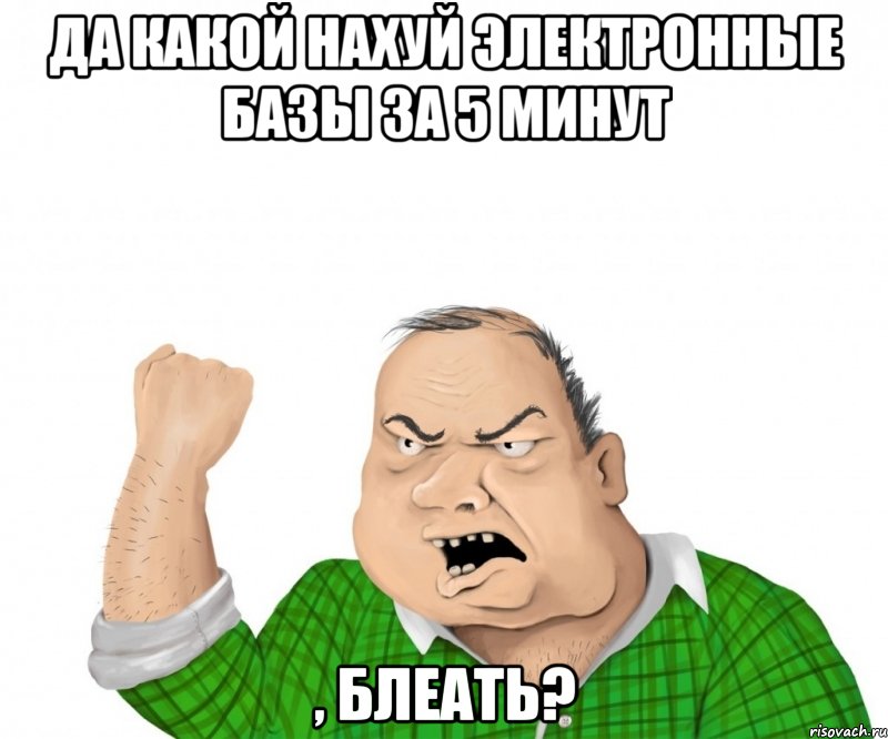 да какой нахуй электронные базы за 5 минут , блеать?, Мем мужик