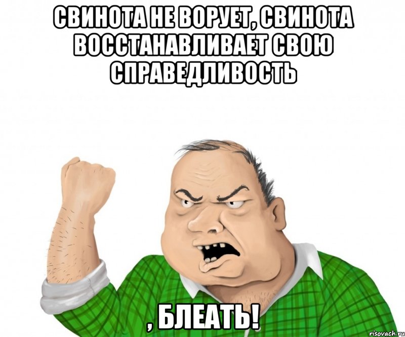 свинота не ворует, свинота восстанавливает свою справедливость , блеать!, Мем мужик