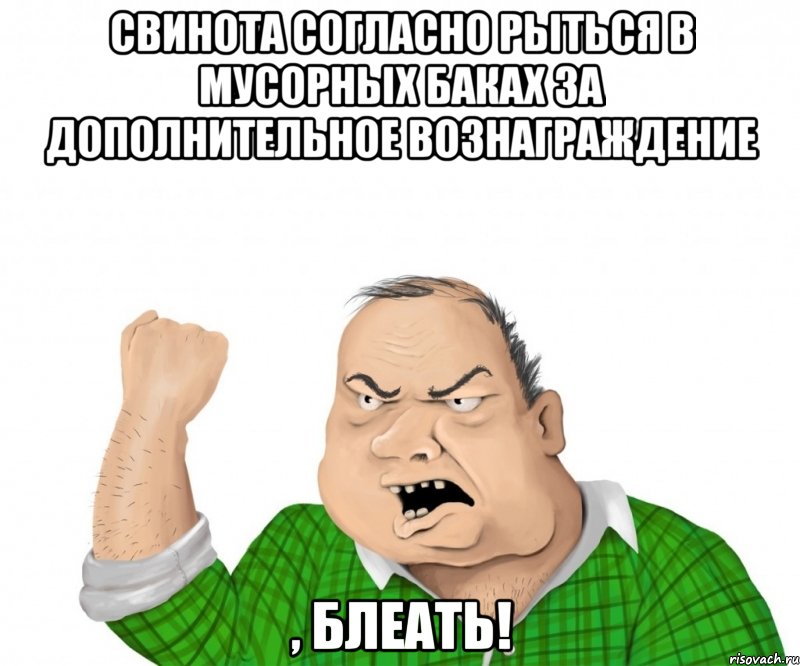 свинота согласно рыться в мусорных баках за дополнительное вознаграждение , блеать!, Мем мужик