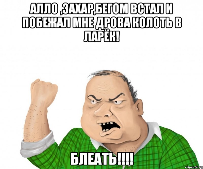 АЛЛО ,ЗАХАР,БЕГОМ ВСТАЛ И ПОБЕЖАЛ МНЕ ДРОВА КОЛОТЬ В ЛАРЁК! БЛЕАТЬ!!!!, Мем мужик