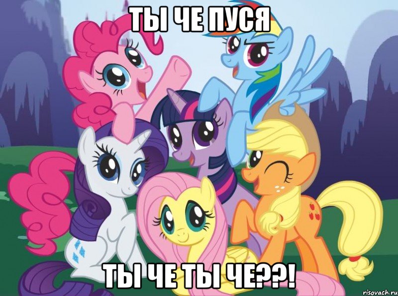 Ты че пуся ТЫ ЧЕ ТЫ ЧЕ??!, Мем My little pony