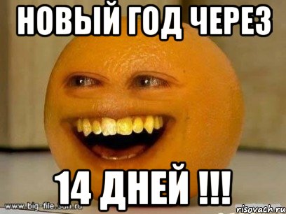 Новый год через 14 дней !!!, Мем Надоедливый апельсин