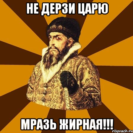 Не дерзи царю Мразь жирная!!!, Мем Не царское это дело