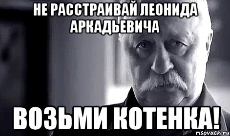 Не расстраивай Леонида Аркадьевича Возьми котенка!, Мем Не огорчай Леонида Аркадьевича