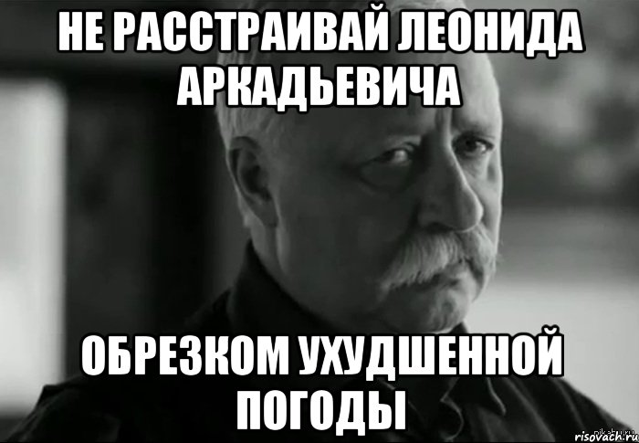 НЕ РАССТРАИВАЙ ЛЕОНИДА АРКАДЬЕВИЧА ОБРЕЗКОМ УХУДШЕННОЙ ПОГОДЫ, Мем Не расстраивай Леонида Аркадьевича