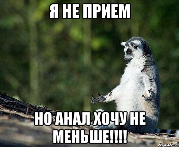 Я НЕ ПРИЕМ НО АНАЛ ХОЧУ НЕ МЕНЬШе!!!!, Мем не узбагоюсь