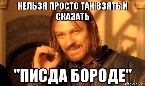 Нельзя просто так взять и сказать "Писда бороде", Мем Нельзя просто так взять и (Боромир мем)