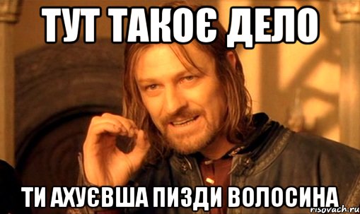 тут такоє дело ти ахуєвша пизди волосина, Мем Нельзя просто так взять и (Боромир мем)