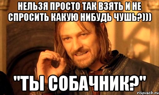 Нельзя просто так взять и не спросить какую нибудь чушь?))) "Ты собачник?", Мем Нельзя просто так взять и (Боромир мем)