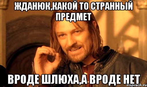 Жданюк,какой то странный предмет Вроде шлюха,а вроде нет, Мем Нельзя просто так взять и (Боромир мем)