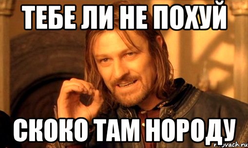 тебе ли не похуй скоко там нороду, Мем Нельзя просто так взять и (Боромир мем)