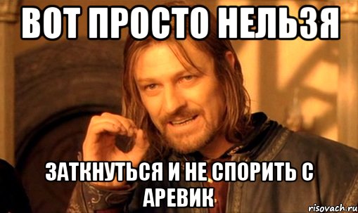 Вот просто нельзя Заткнуться и не спорить с Аревик, Мем Нельзя просто так взять и (Боромир мем)