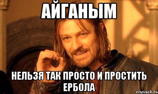 Айганым нельзя так просто и простить ербола, Мем Нельзя просто так взять и (Боромир мем)