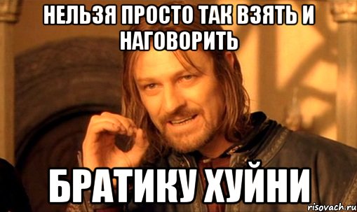 нельзя просто так взять и наговорить братику хуйни, Мем Нельзя просто так взять и (Боромир мем)