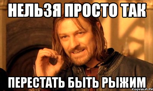 нельзя просто так перестать быть рыжим, Мем Нельзя просто так взять и (Боромир мем)