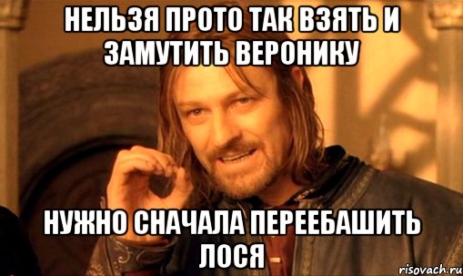 нельзя прото так взять и замутить Веронику нужно сначала переебашить лося, Мем Нельзя просто так взять и (Боромир мем)