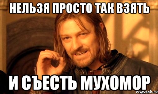 нельзя просто так взять и съесть мухомор, Мем Нельзя просто так взять и (Боромир мем)