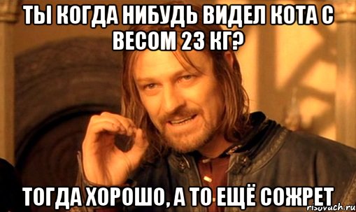 Ты когда нибудь видел кота с весом 23 кг? Тогда хорошо, а то ещё сожрет, Мем Нельзя просто так взять и (Боромир мем)