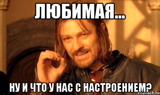 Любимая... ну и что у нас с настроением?, Мем Нельзя просто так взять и (Боромир мем)