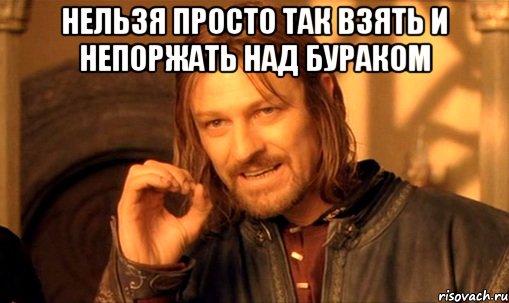 нельзя просто так взять и непоржать над бураком , Мем Нельзя просто так взять и (Боромир мем)