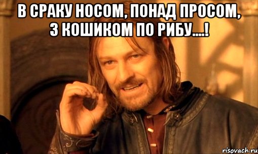 В сраку носом, понад просом, з кошиком по рибу....! , Мем Нельзя просто так взять и (Боромир мем)