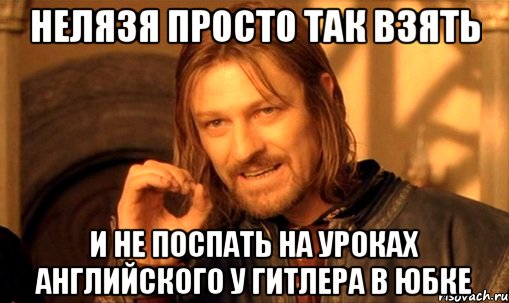 Нелязя просто так взять и не поспать на уроках английского у гитлера в юбке, Мем Нельзя просто так взять и (Боромир мем)