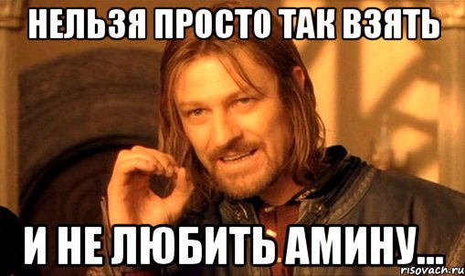 Нельзя просто так взять И не любить Амину..., Мем Нельзя просто так взять и (Боромир мем)