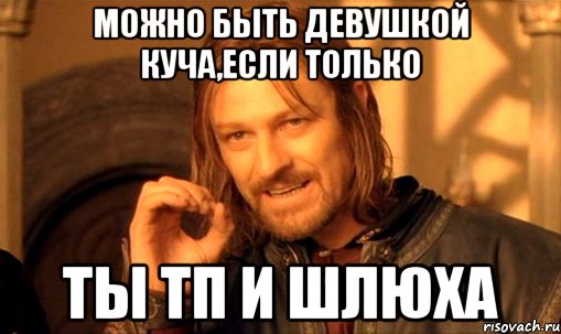 можно быть девушкой Куча,если только ты ТП и шлюха, Мем Нельзя просто так взять и (Боромир мем)