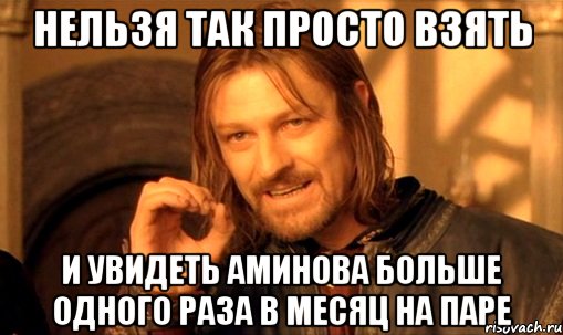 нельзя так просто взять и увидеть Аминова больше одного раза в месяц на паре, Мем Нельзя просто так взять и (Боромир мем)