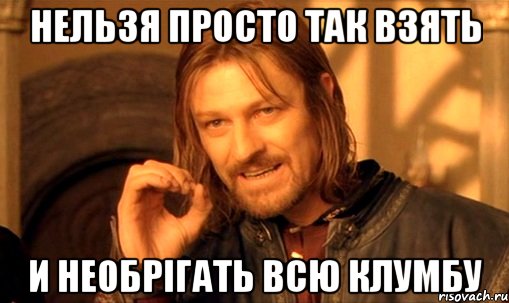 Нельзя просто так взять И необрігать всю клумбу, Мем Нельзя просто так взять и (Боромир мем)