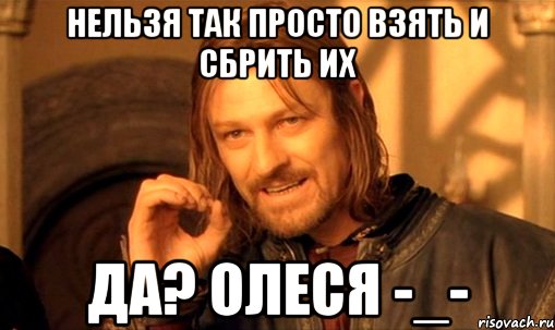 НЕЛЬЗЯ ТАК ПРОСТО ВЗЯТЬ И СБРИТЬ ИХ Да? ОЛЕСЯ -_-, Мем Нельзя просто так взять и (Боромир мем)