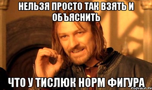 нельзя просто так взять и объяснить что у тислюк норм фигура, Мем Нельзя просто так взять и (Боромир мем)