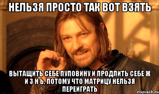 нельзя просто так вот взять вытащить себе пуповину и продлить себе ж и з н ь, потому что матрицу нельзя переиграть, Мем Нельзя просто так взять и (Боромир мем)