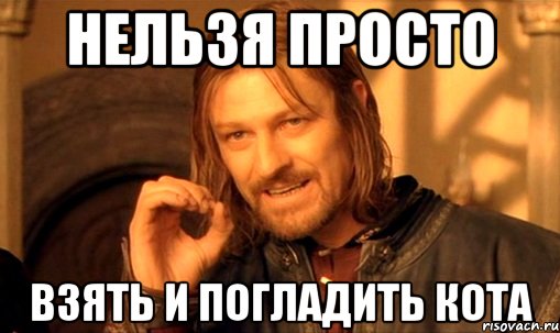 нельзя просто взять и погладить кота, Мем Нельзя просто так взять и (Боромир мем)