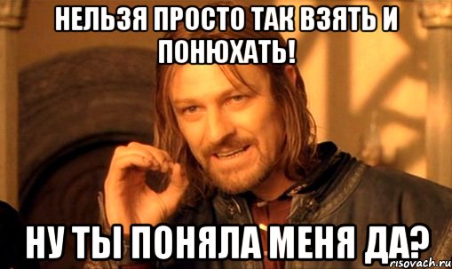 нельзя просто так взять и понюхать! ну ты поняла меня да?, Мем Нельзя просто так взять и (Боромир мем)