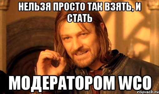 Нельзя просто так взять, и стать модератором WCO, Мем Нельзя просто так взять и (Боромир мем)