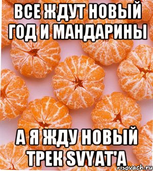 все ждут новый год и мандарины а я жду новый трек Svyat'a