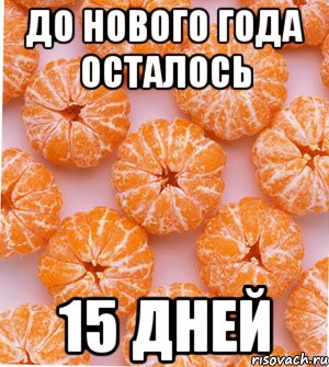 До Нового Года осталось 15 дней