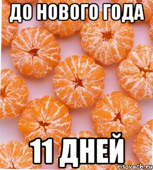 До нового года 11 Дней