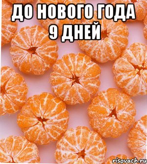 до нового года 9 дней 