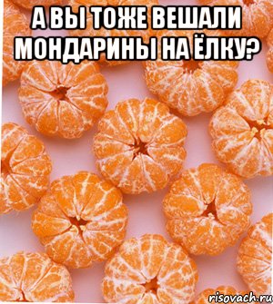 А вы тоже вешали мондарины на ёлку? 