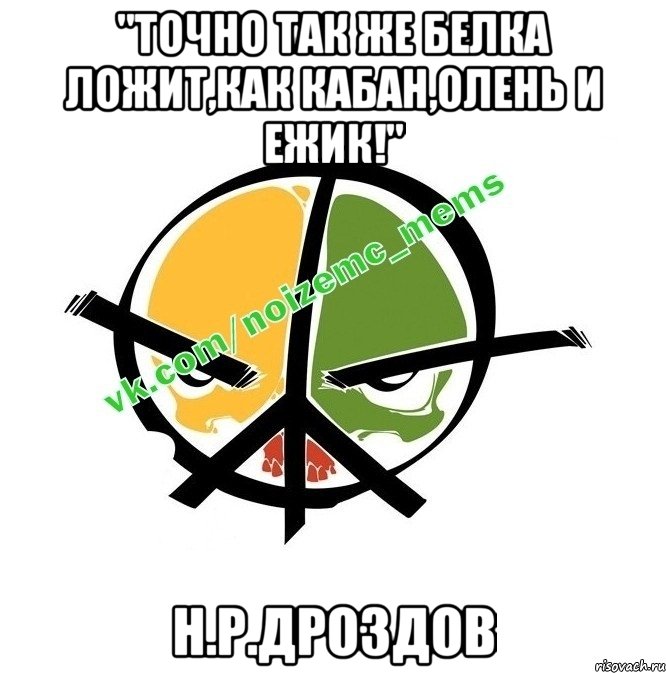 "точно так же белка ложит,как кабан,олень и ежик!" Н.Р.Дроздов, Мем Новый альбом