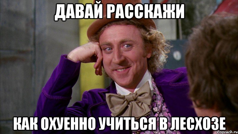 Давай расскажи Как охуенно учиться в Лесхозе, Мем Ну давай расскажи (Вилли Вонка)