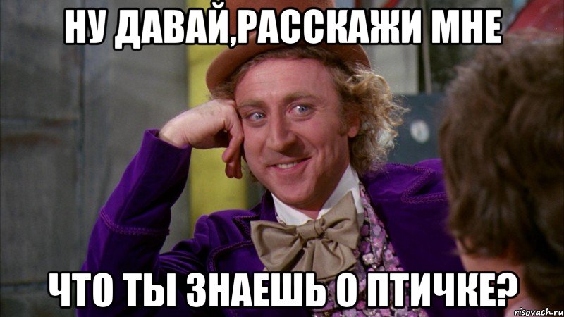 НУ ДАВАЙ,РАССКАЖИ МНЕ ЧТО ТЫ ЗНАЕШЬ О ПТИЧКЕ?, Мем Ну давай расскажи (Вилли Вонка)