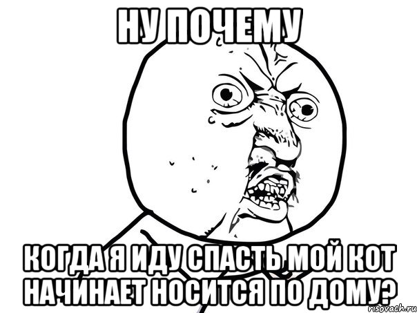 ну почему когда я иду спасть мой кот начинает носится по дому?, Мем Ну почему (белый фон)