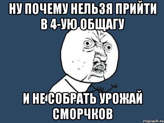 Ну почему нельзя прийти в 4-ую общагу и не собрать урожай сморчков, Мем Ну почему