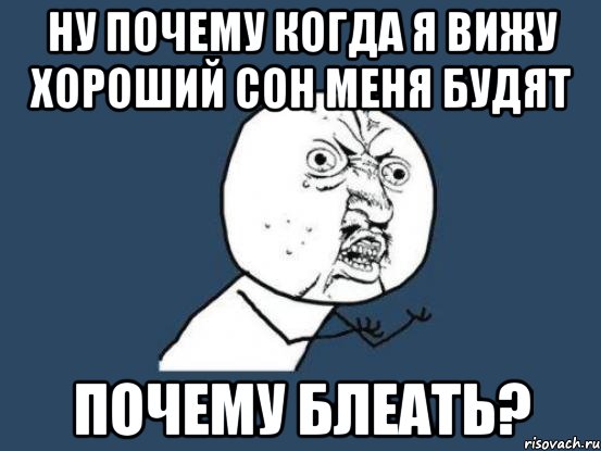 ну почему когда я вижу хороший сон меня будят ПОЧЕМУ БЛЕАТЬ?, Мем Ну почему