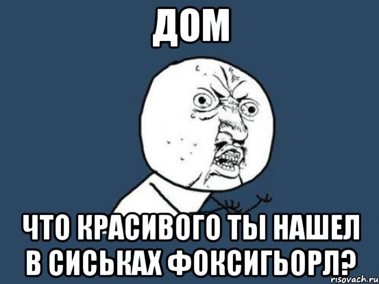 дом что красивого ты нашел в сиськах фоксигьорл?, Мем Ну почему